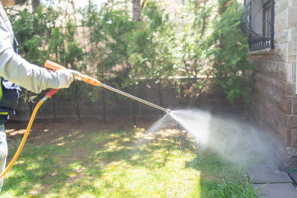 Best Mosquito Control Services  in Verona, PA